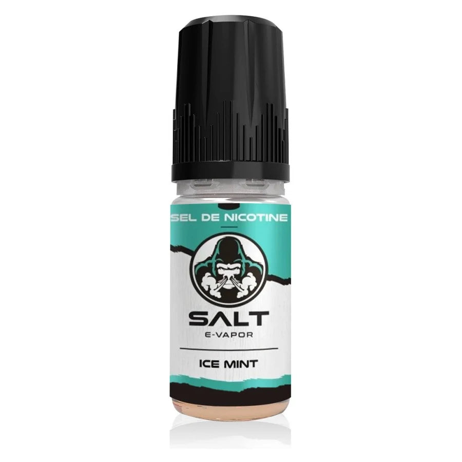 E-liquide Ice Mint 10ml Salt E-Vapor – Le French Liquide