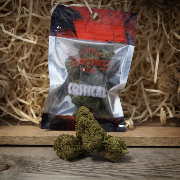Fleurs de CBD Critical - Greeneo